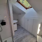 Skyview