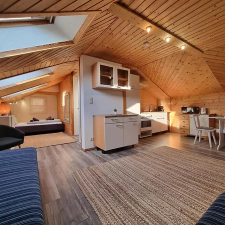 Apartment Skyview *